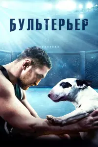 Смотреть  Бультерьер  