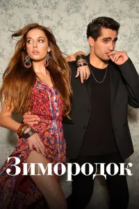 Зимородок смотреть онлайн в хорошем качестве