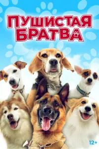Смотреть  Пушистая братва  